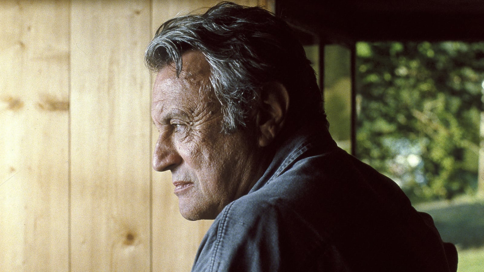 The Intruder Claire Denis