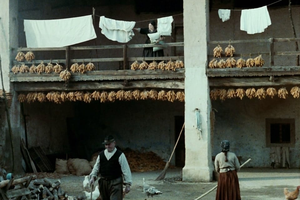 The Tree of the Wooden Clogs
