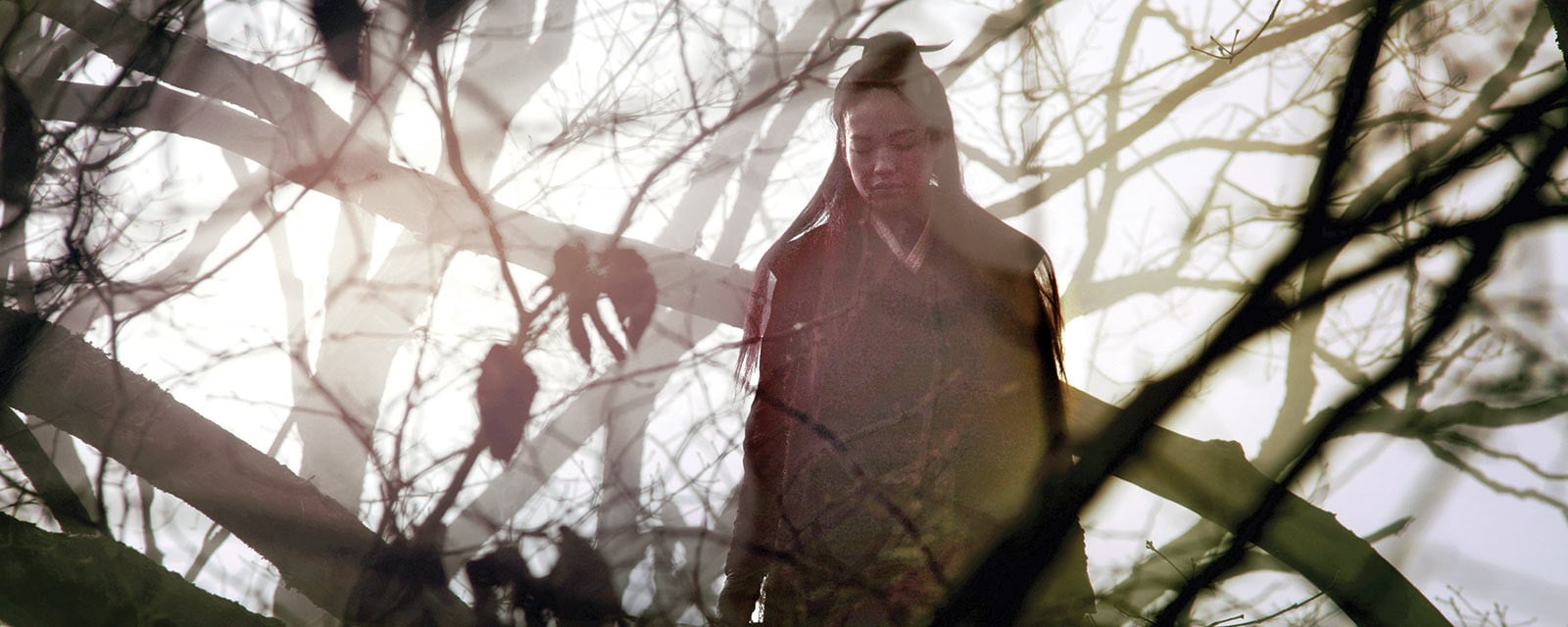 The Assassin Hou Hsiao-hsien