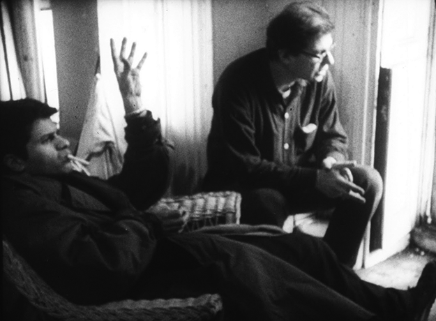 Pull my daisy Robert Frank