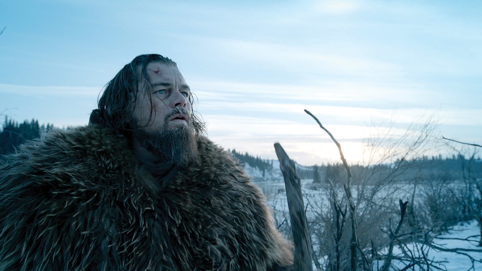The Revenant