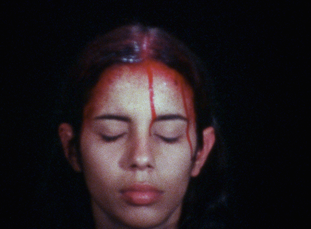 Sweating Blood Ana Mendieta