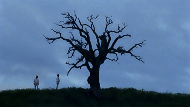 Lost and Beautiful