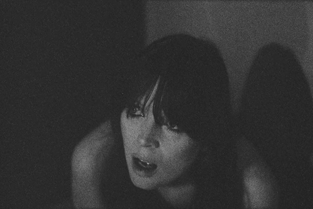 les hautes solitudes philippe garrel