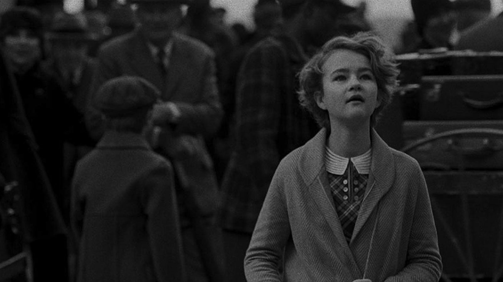 wonderstruck todd haynes