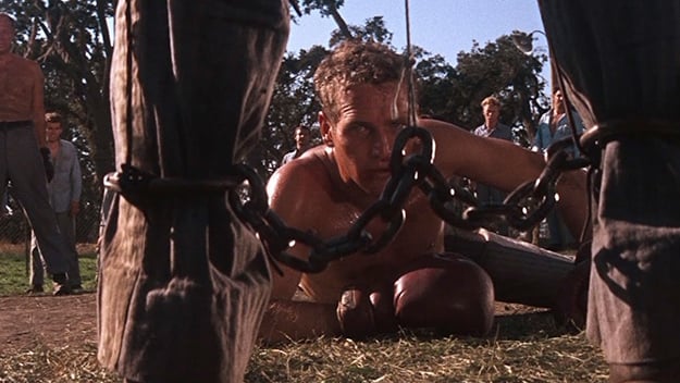 cool hand luke newman