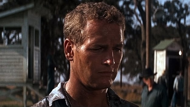 cool hand luke newman