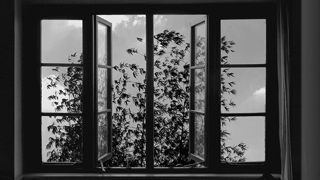 24 frames kiarostami