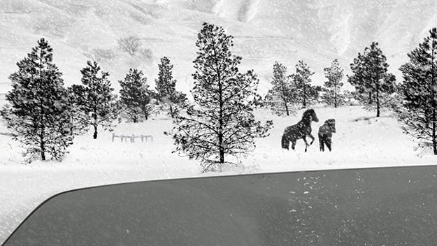 24 frames kiarostami