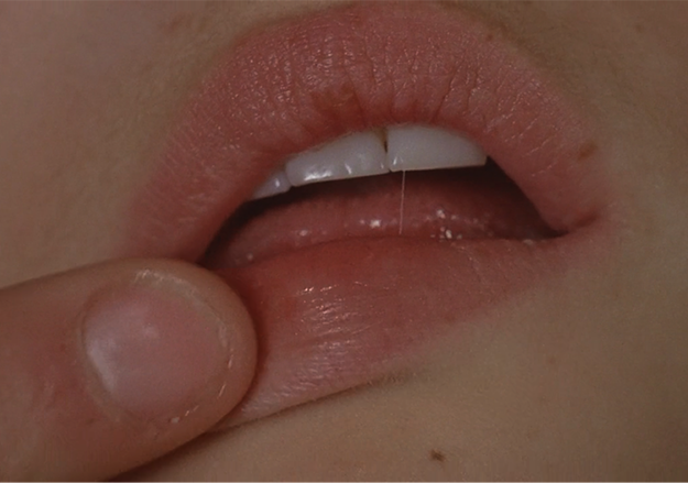 ルル ヴァレリアン・ボロフチク LULU di Walerian Borowczyk ヴァレリアン・ボロフチク『ルル』 - 象徴派の周囲