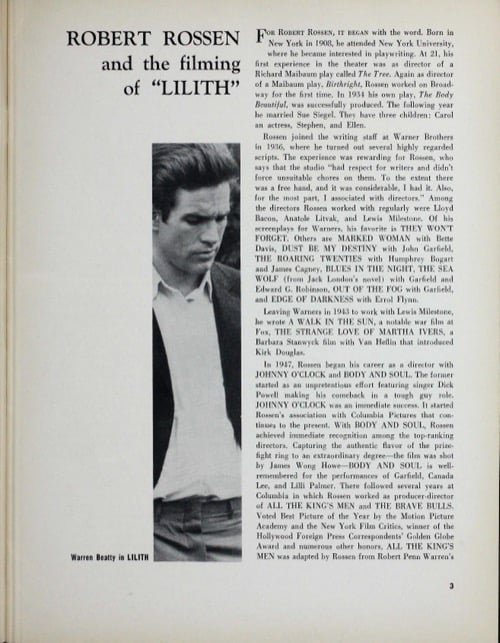 One of a selection of stills from inside the issue
